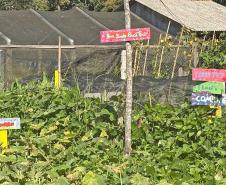 Estado avança no Caminhos do Peabiru com consulta e georreferenciamento