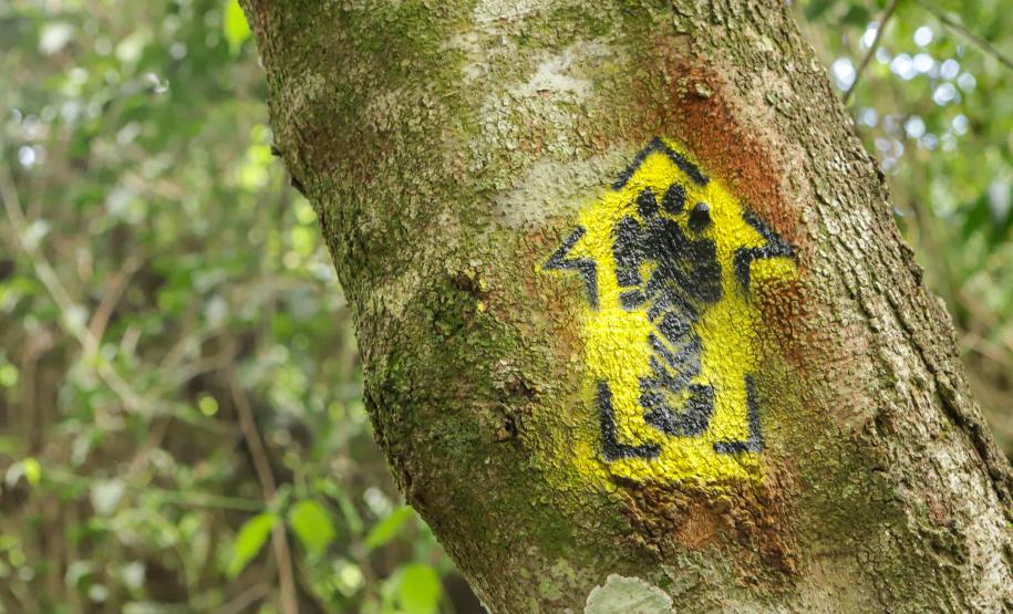 Caminhos do Peabiru: oficinas nos municípios vão mapear a rota turística