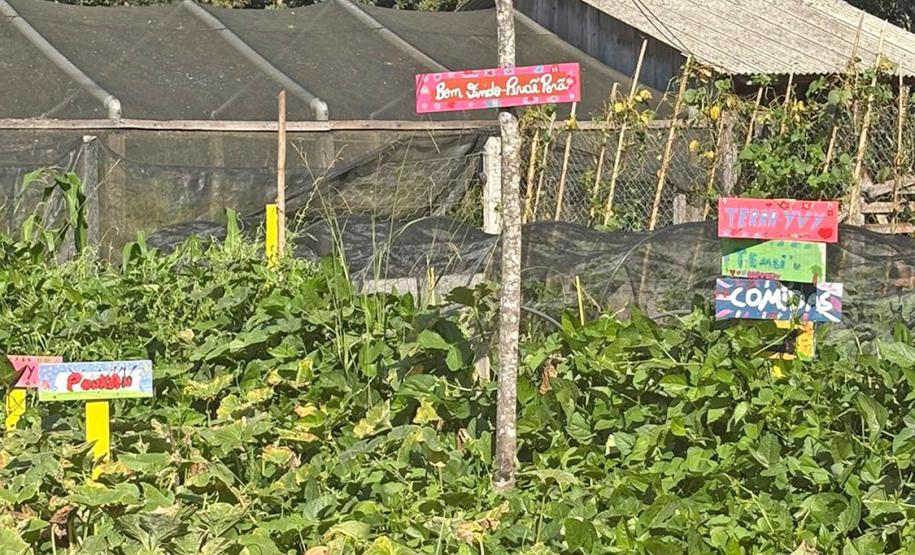 Estado avança no Caminhos do Peabiru com consulta e georreferenciamento